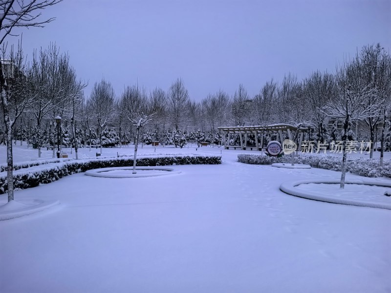 积雪覆盖的公园静谧雪景