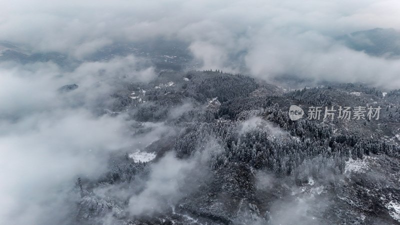 重庆酉阳：大雪纷飞赏雪忙