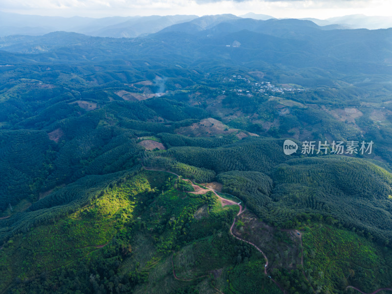 航拍绿意盎然的广袤山林自然景观