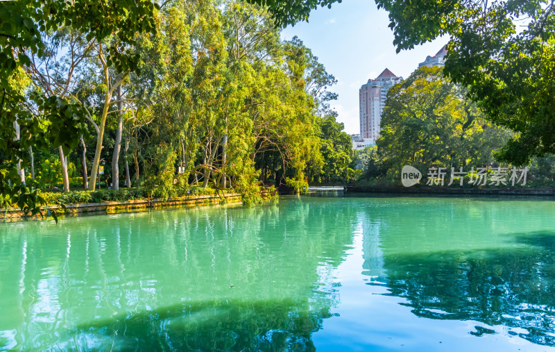 福州西湖公园秋景