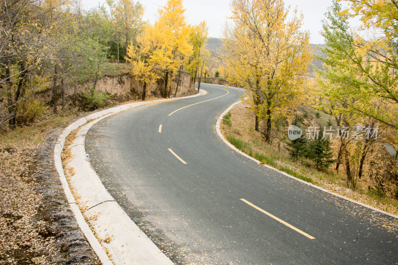 秋天的乡村公路