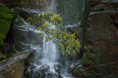 莫干山溪流瀑布风景