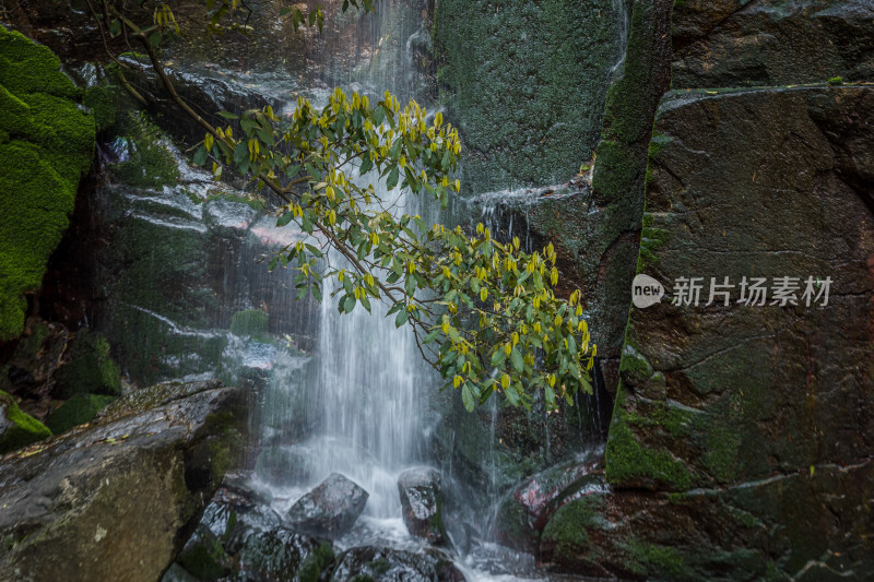 莫干山溪流瀑布风景