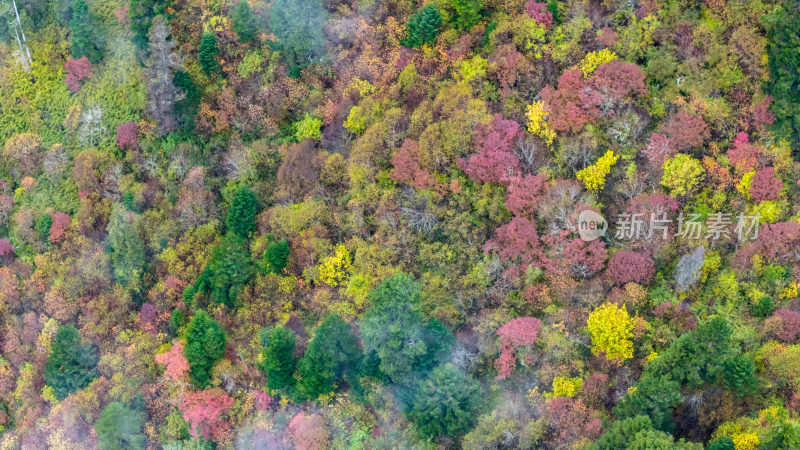 阿坝州黄龙风景名胜区秋色