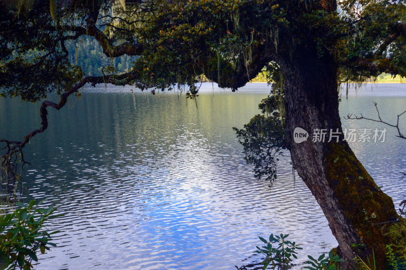 九寨沟的湖泊