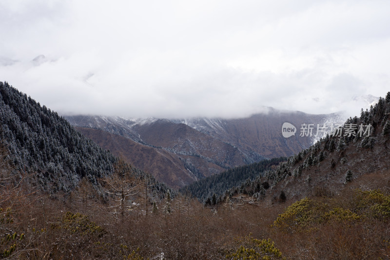 九寨沟云雾缭绕的山林景观