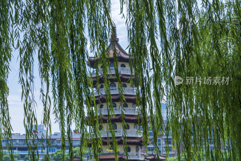 武汉江岸区宝岛公园风景