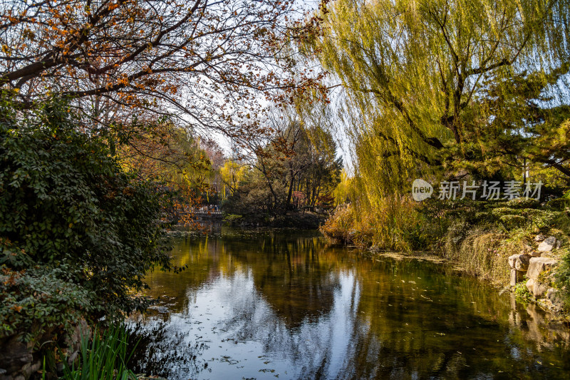 山东济南市5A景区趵突泉公园秋天的园林景观
