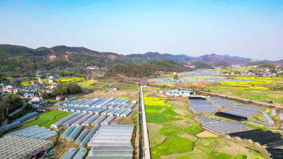 南方美丽乡村田园油菜花种植航拍