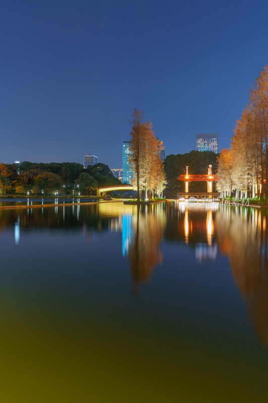 佛山千灯湖公园落羽杉红叶与城市夜景灯光