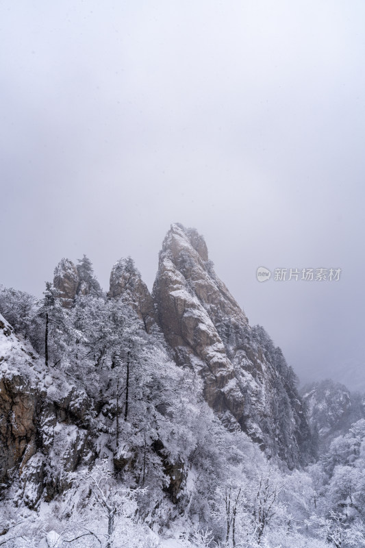 老君山下雪大山森林雾凇景观