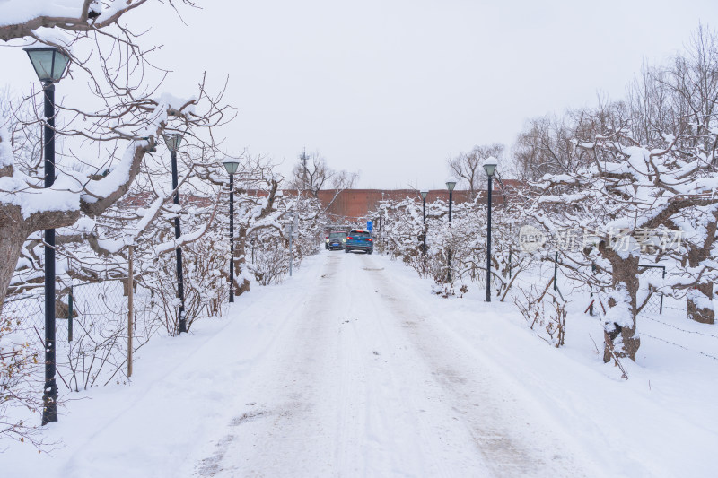 冬季雪中的果园庄园会车