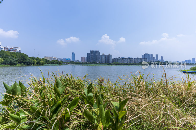 武汉洪山区南湖幸福湾公园风景