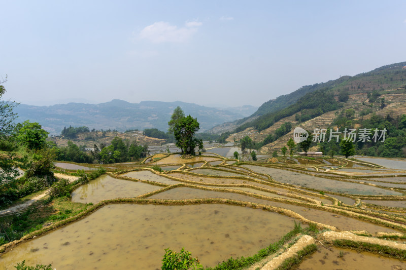 层层叠叠的元阳梯田景观