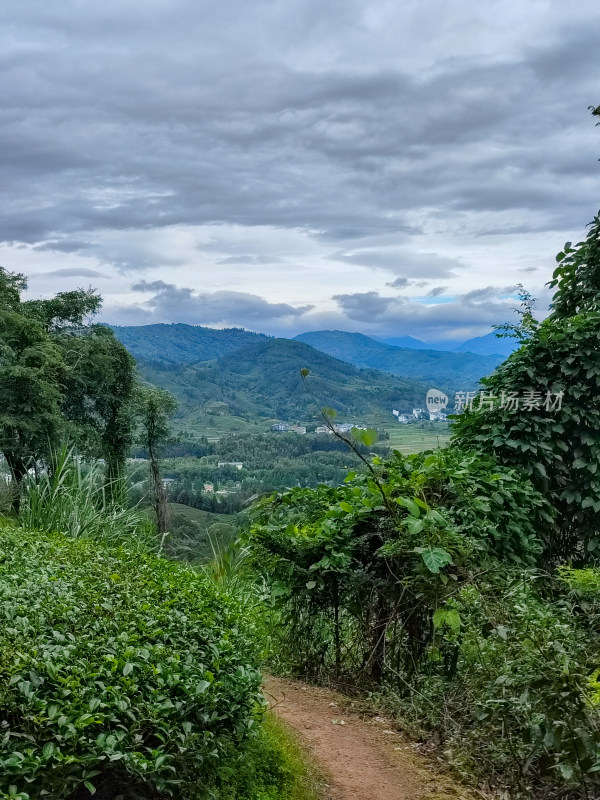 山间小径风景优美的自然景象