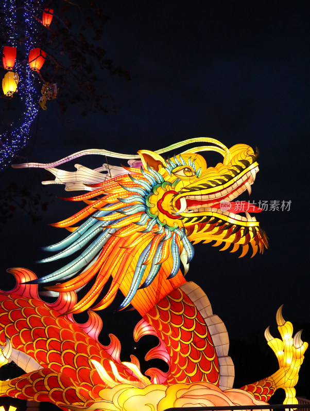 中国春节传统花灯龙
