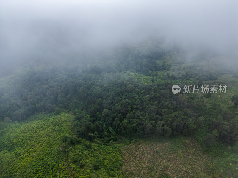 云雾笼罩下的葱郁山林鸟瞰全景