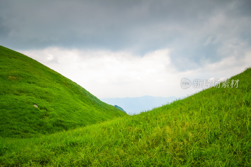 江西武功山高山草甸