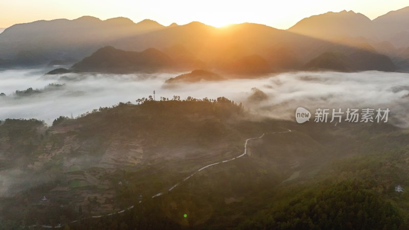 重庆酉阳：霜降后的山坡“红似火”