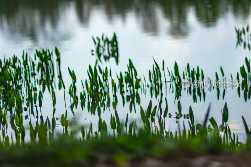 日落时的湖景