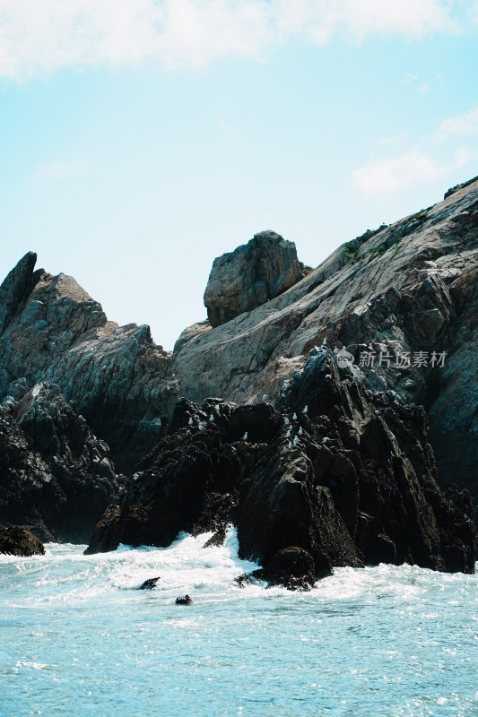 海岛礁石与飞鸟