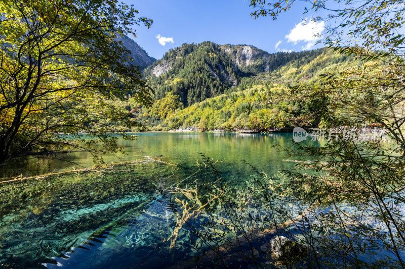 九寨沟五花海