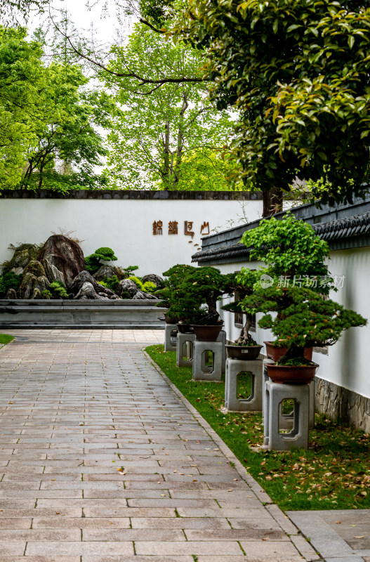 上海植物园盆景园景点景观