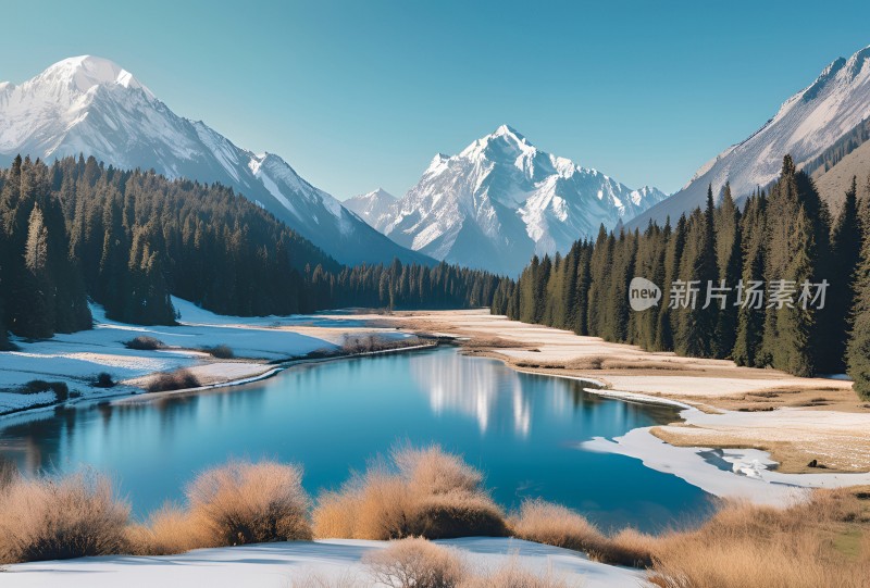 雪山高原草原森林风景