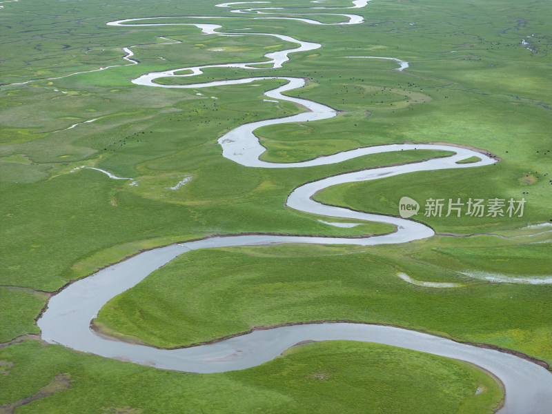 黄河草原湿地