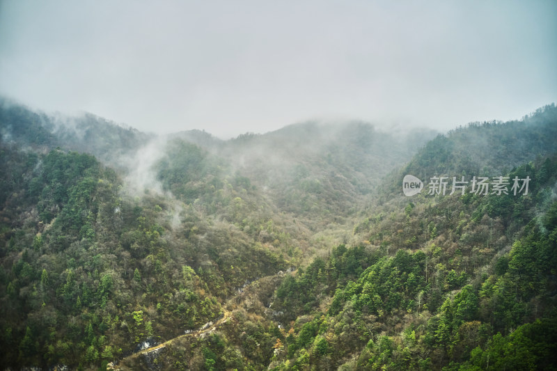 神秘的原始神农架林区