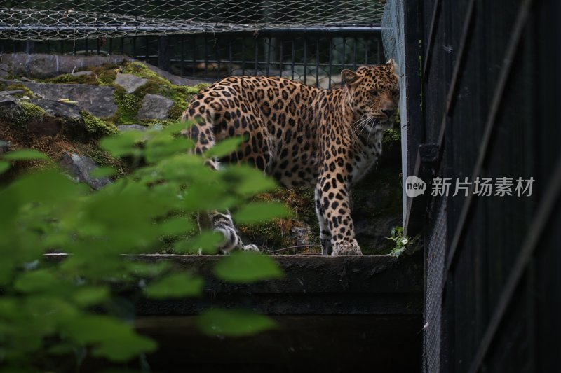 杭州风光 西湖风光