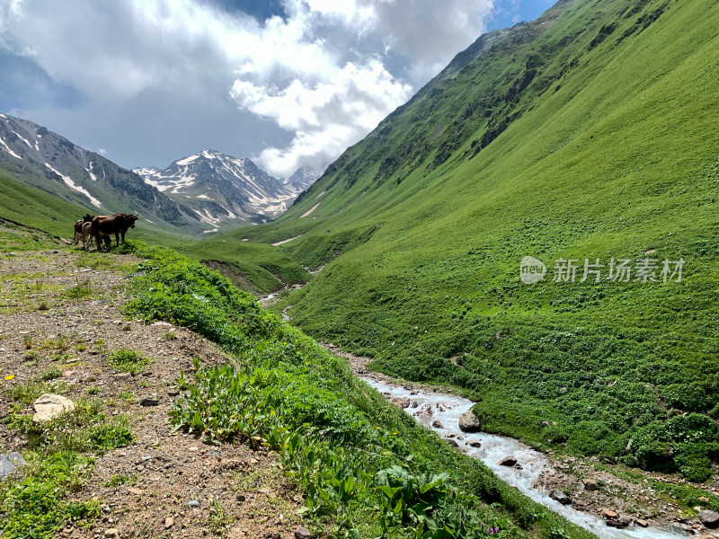 中国新疆伊犁那拉提草原旅游风光