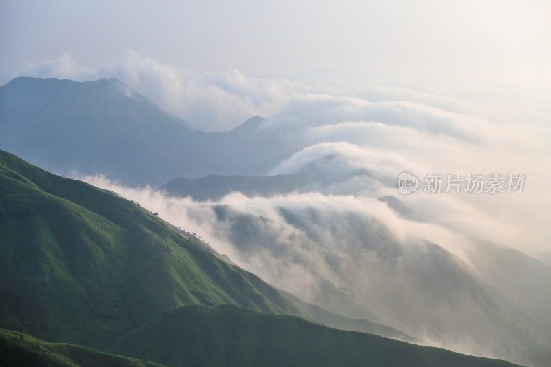 唯美清晨高山日出云海 武功山高山草甸