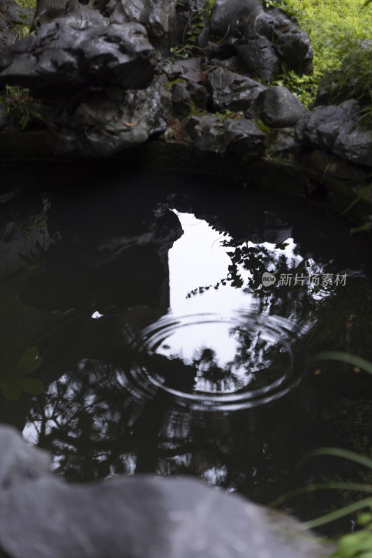 下雨天水波纹池塘水面水滴氛围中式东方禅意