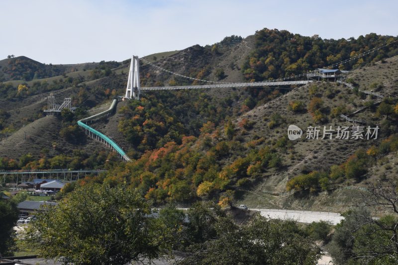 中华福寿山  伊犁  霍城  美景 草原  秋天