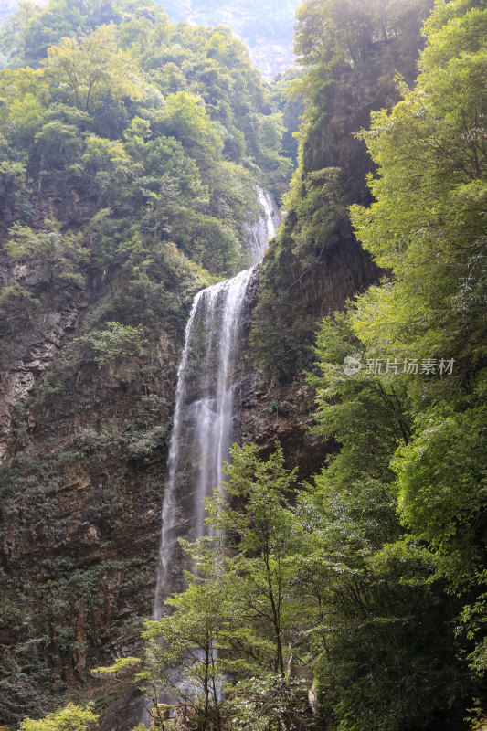 湖北宜昌三峡竹海风景区，自然风光，竹海