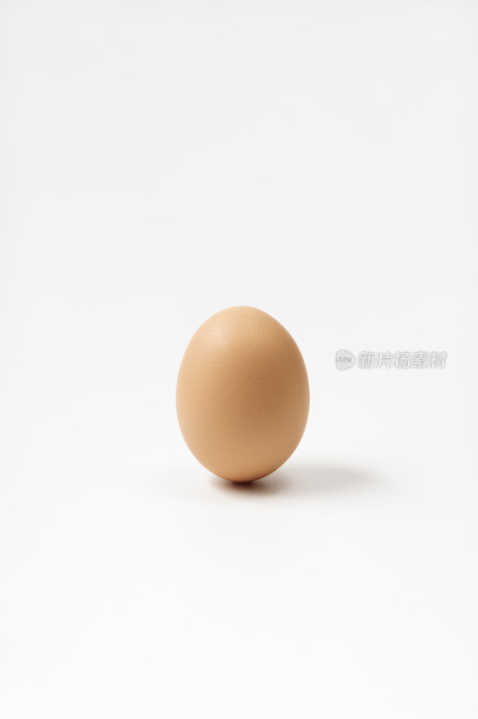 一枚鸡蛋竖立在白色背景中