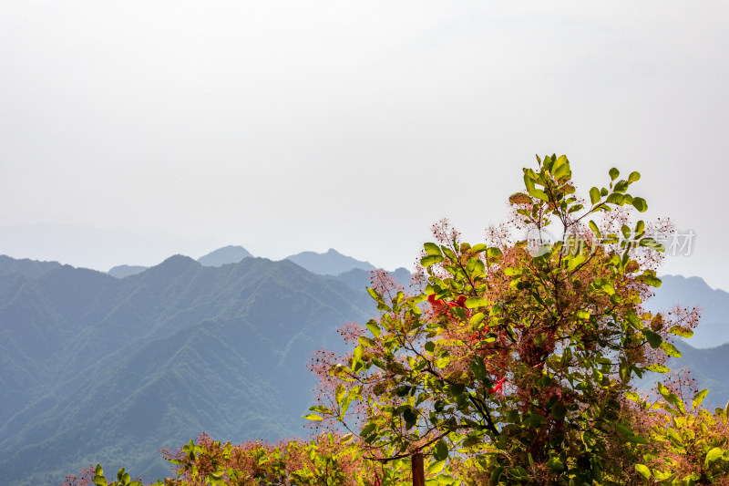 西安秦岭终南山南五台自然风光