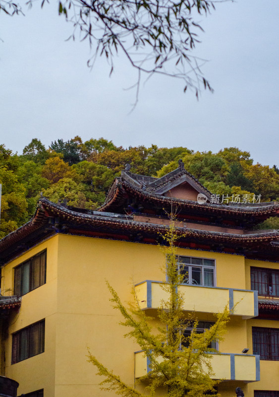 洛阳白云山景区的秋天