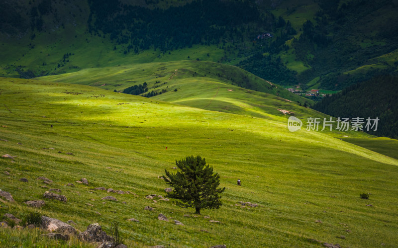 阳光下山谷草原连绵起伏的绿色山川