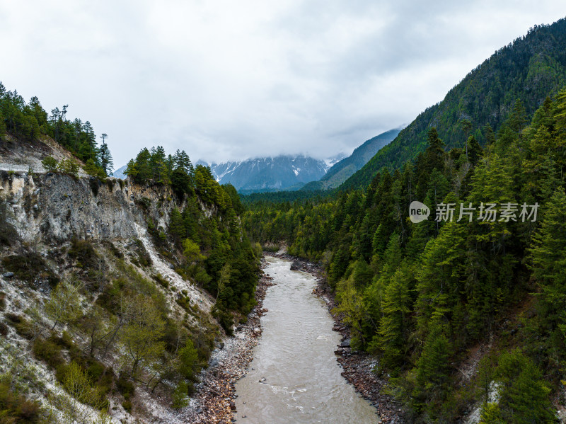 中国西藏林芝帕隆藏布江高原森林河流