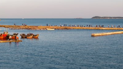 青岛海滨垂钓