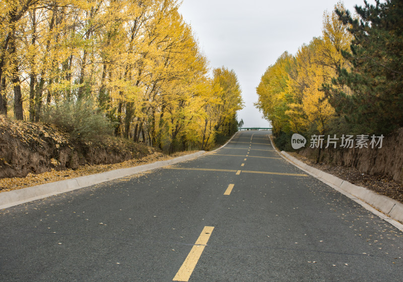 秋天的乡村公路