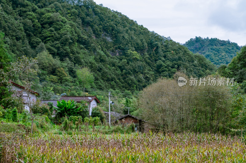 汉中留坝火烧店镇秦岭深处的山村田园风光