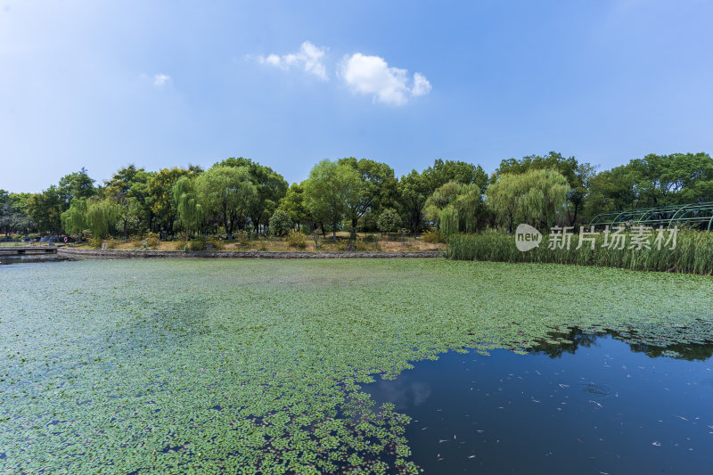 武汉蔡甸汤湖公园生态园林风景