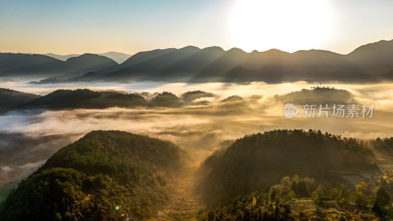 重庆酉阳：霜降后的山坡“红似火”