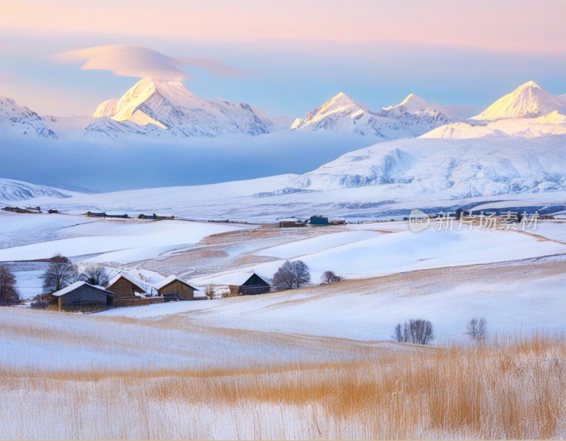 高山雪地