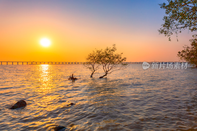 深圳西湾红树林日落美景