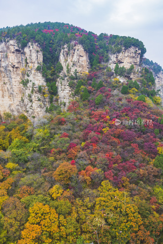 山东济南龙洞景区秋天秋色航拍