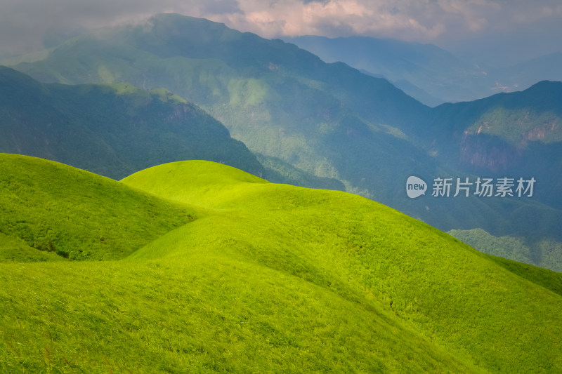 夏天江西武功山的高山草甸